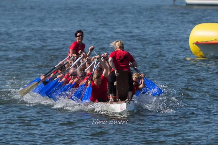 03.06.16-sportspiele-stralsund-hafen.jpg
